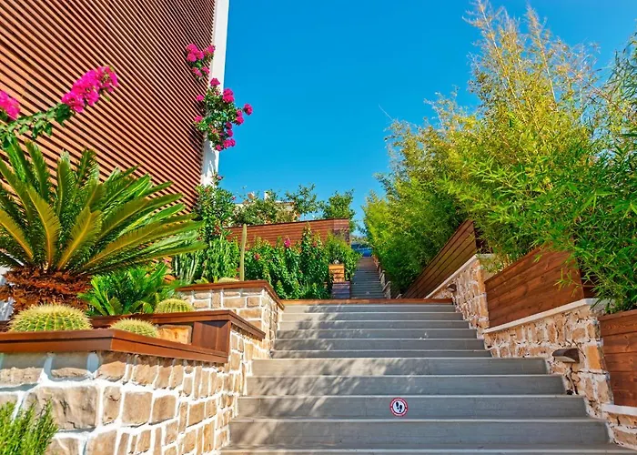 ميس إكسكلوسيف فندق كاس