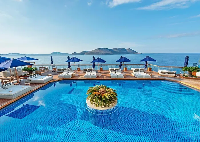 فندق ميس إكسكلوسيف