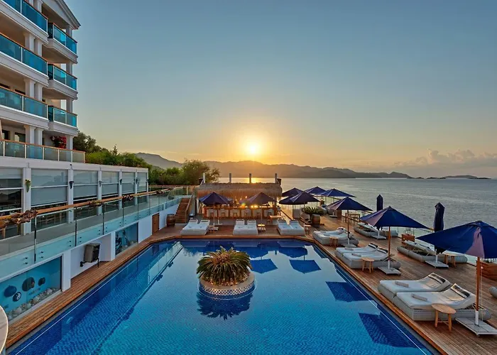 فندق ميس إكسكلوسيف