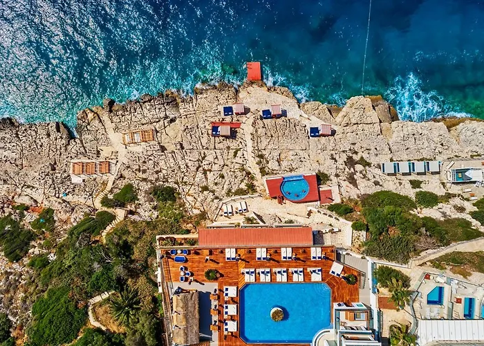 ميس إكسكلوسيف كاس